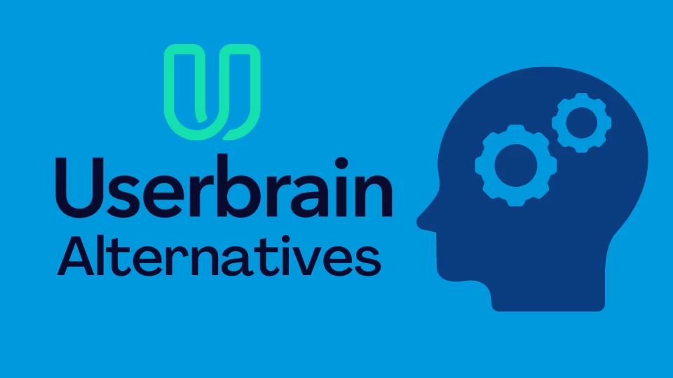 UserBrain Alternatives